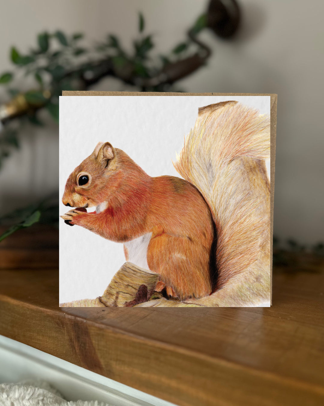 Squirrel Greeting Card