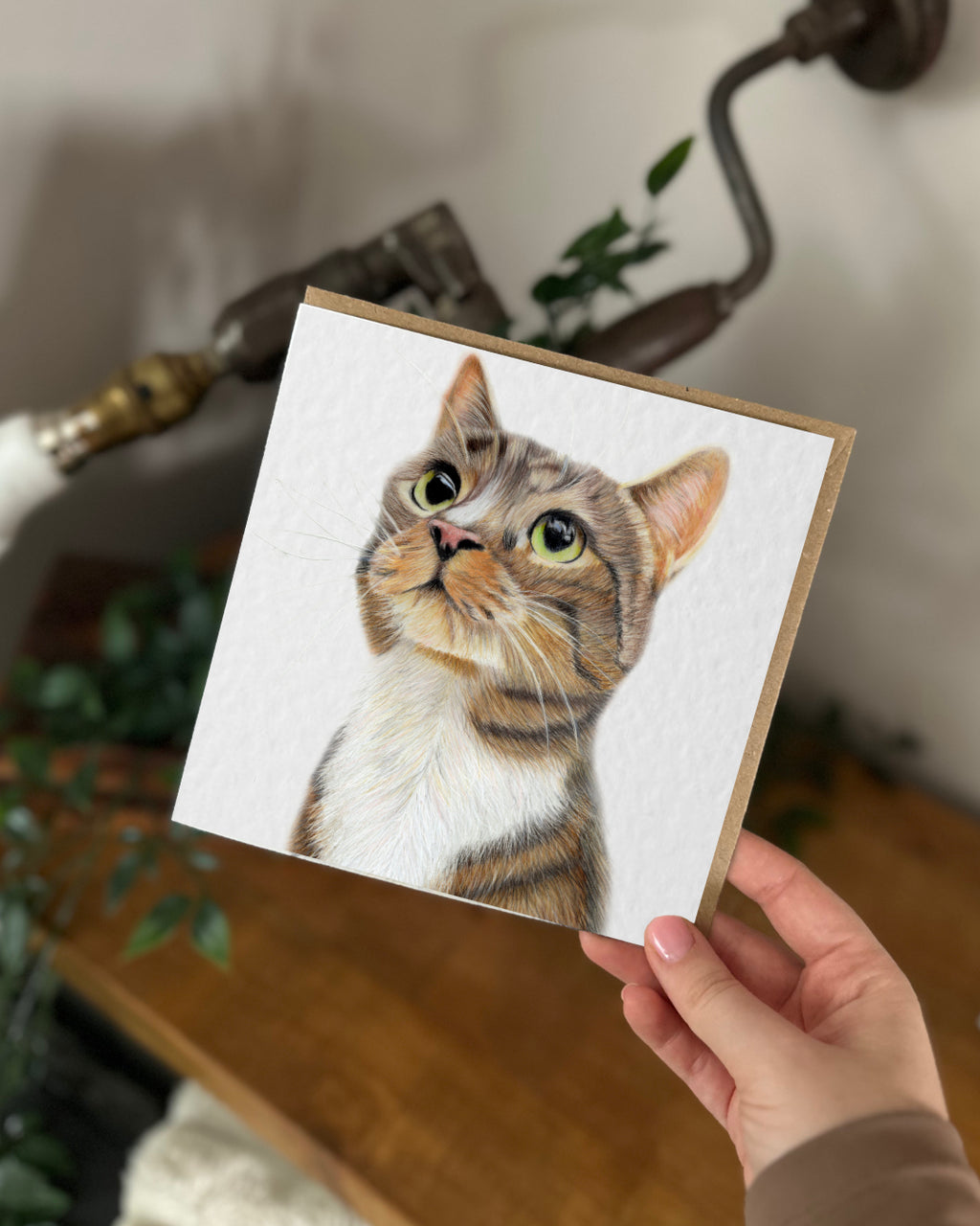 Cat Card & Tag Bundle