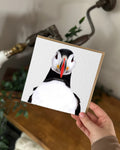 Puffin Greeting Card
