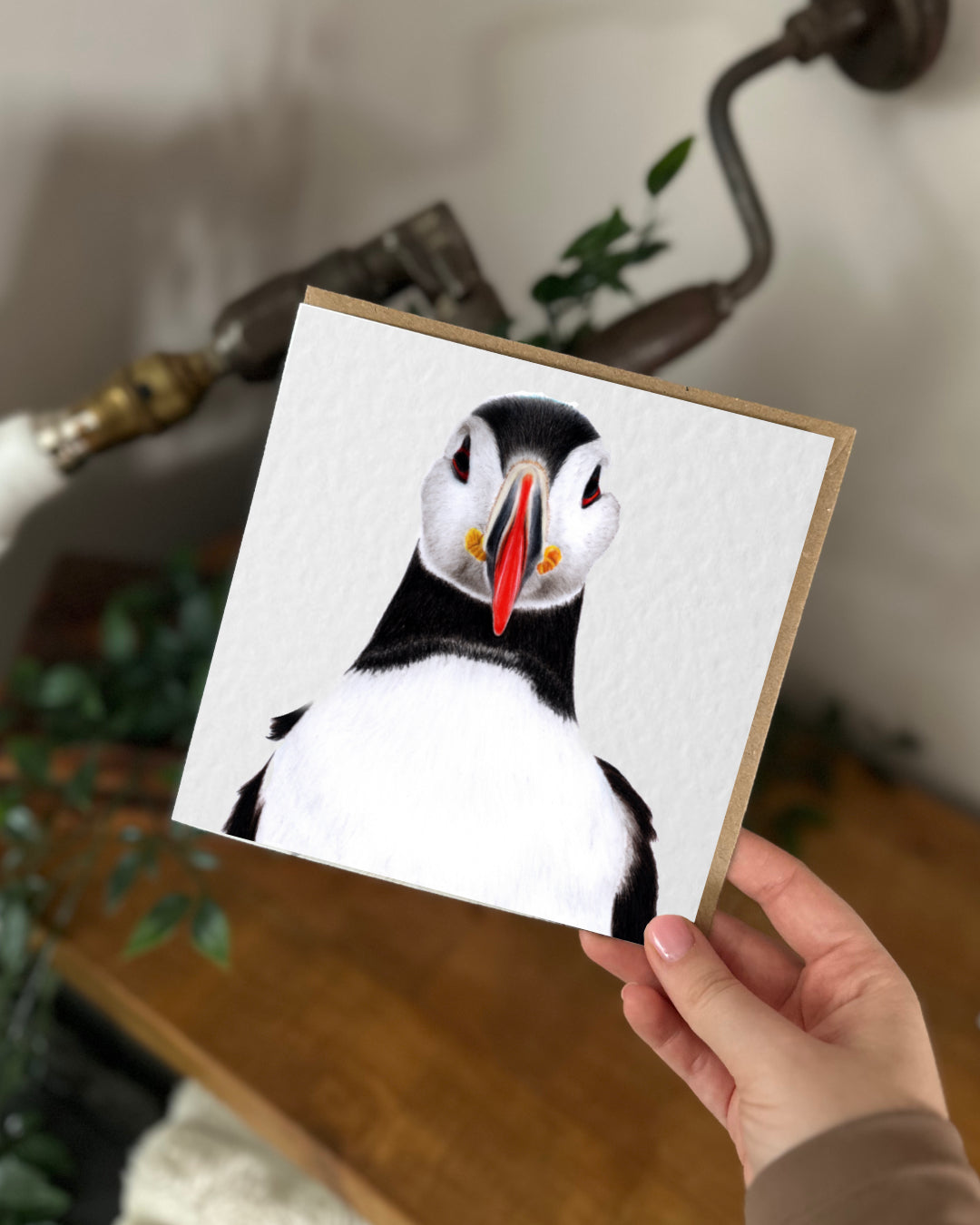 Puffin Greeting Card