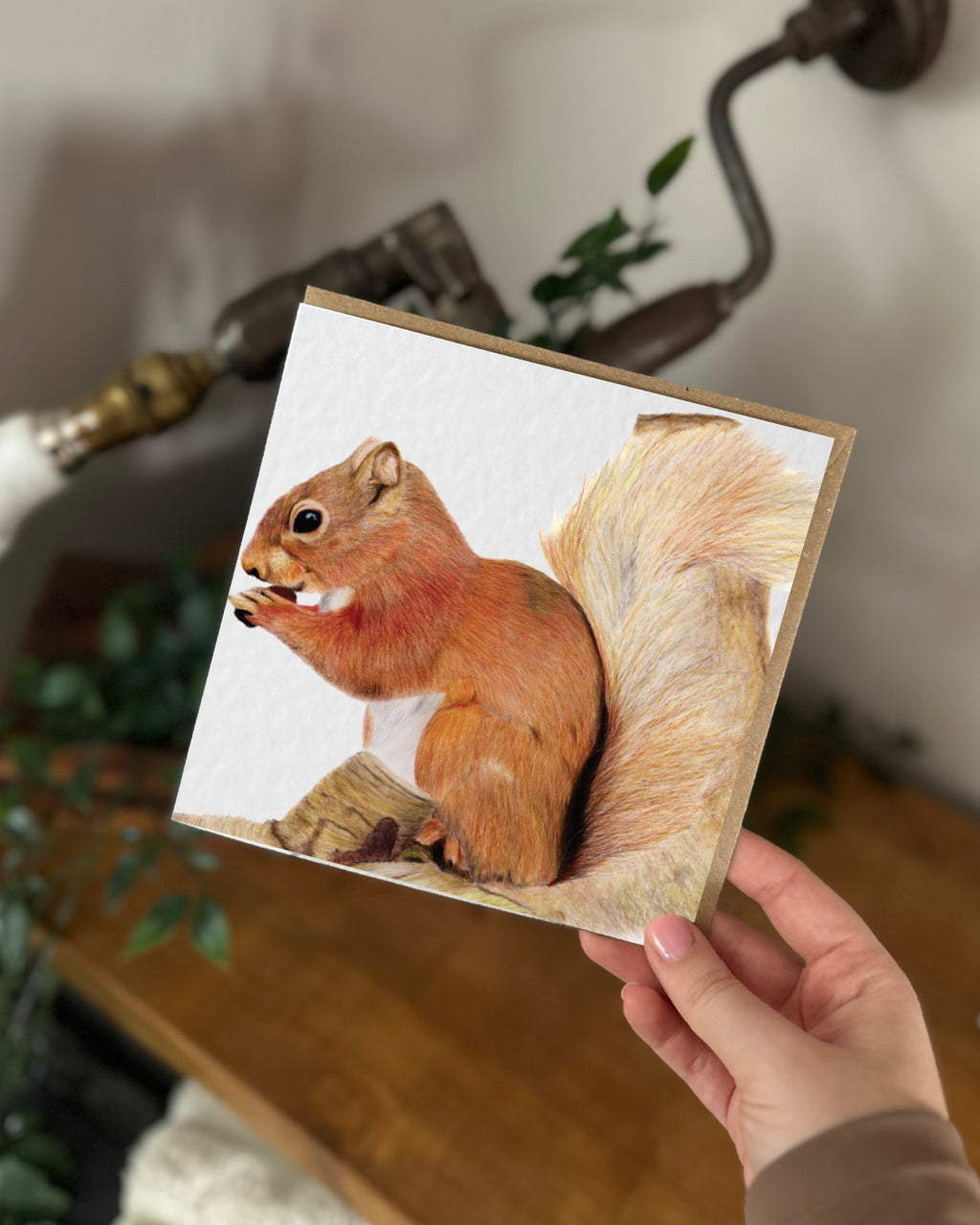 Squirrel Greeting Card