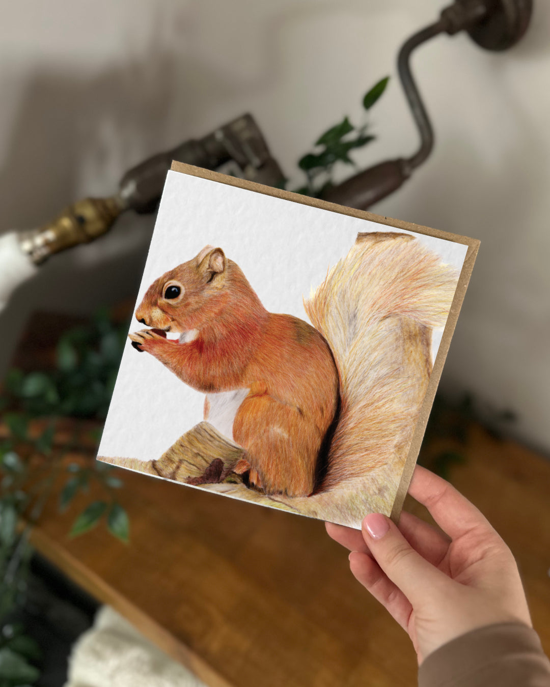 Squirrel Greeting Card