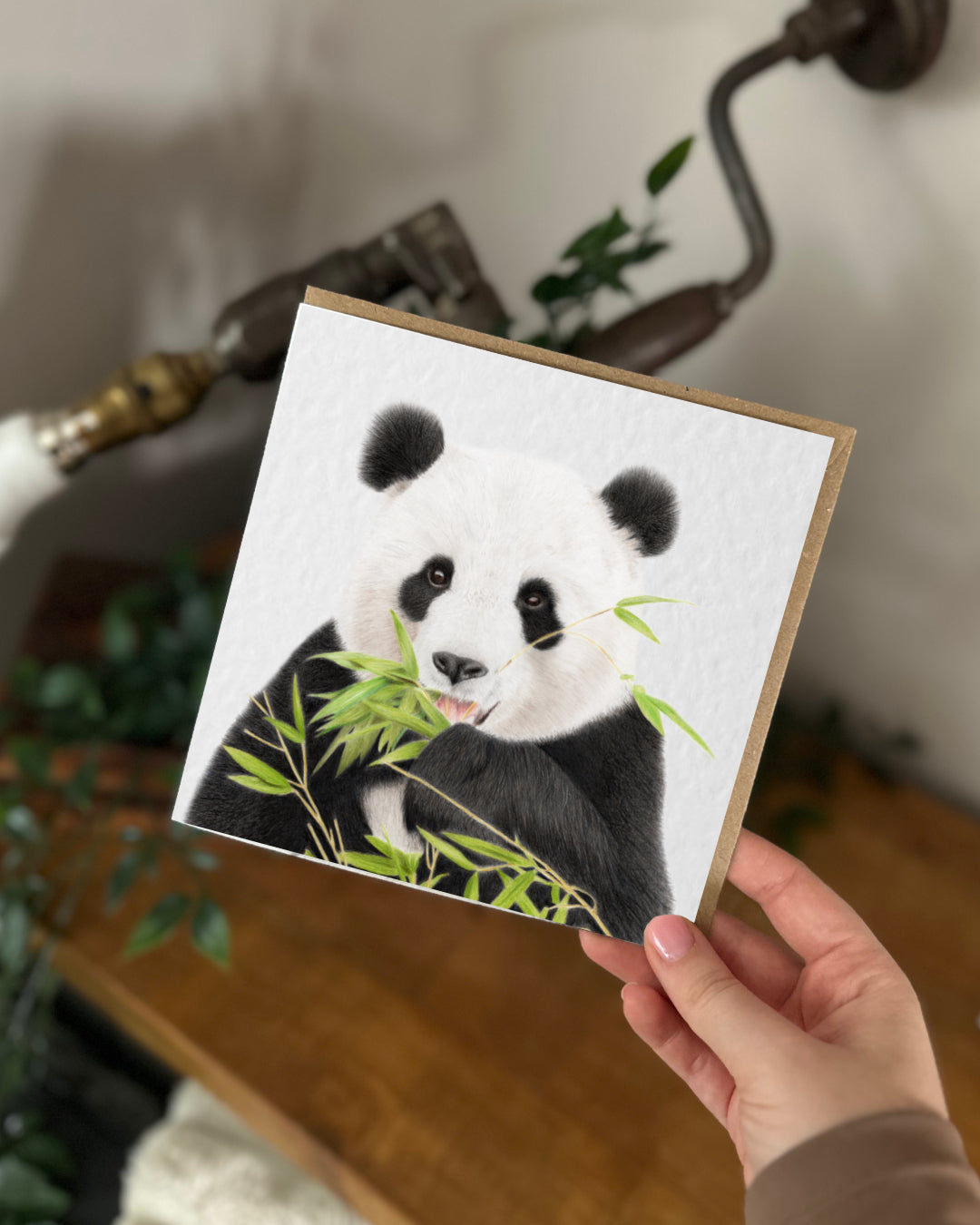 Panda 'Obsessed' Bundle