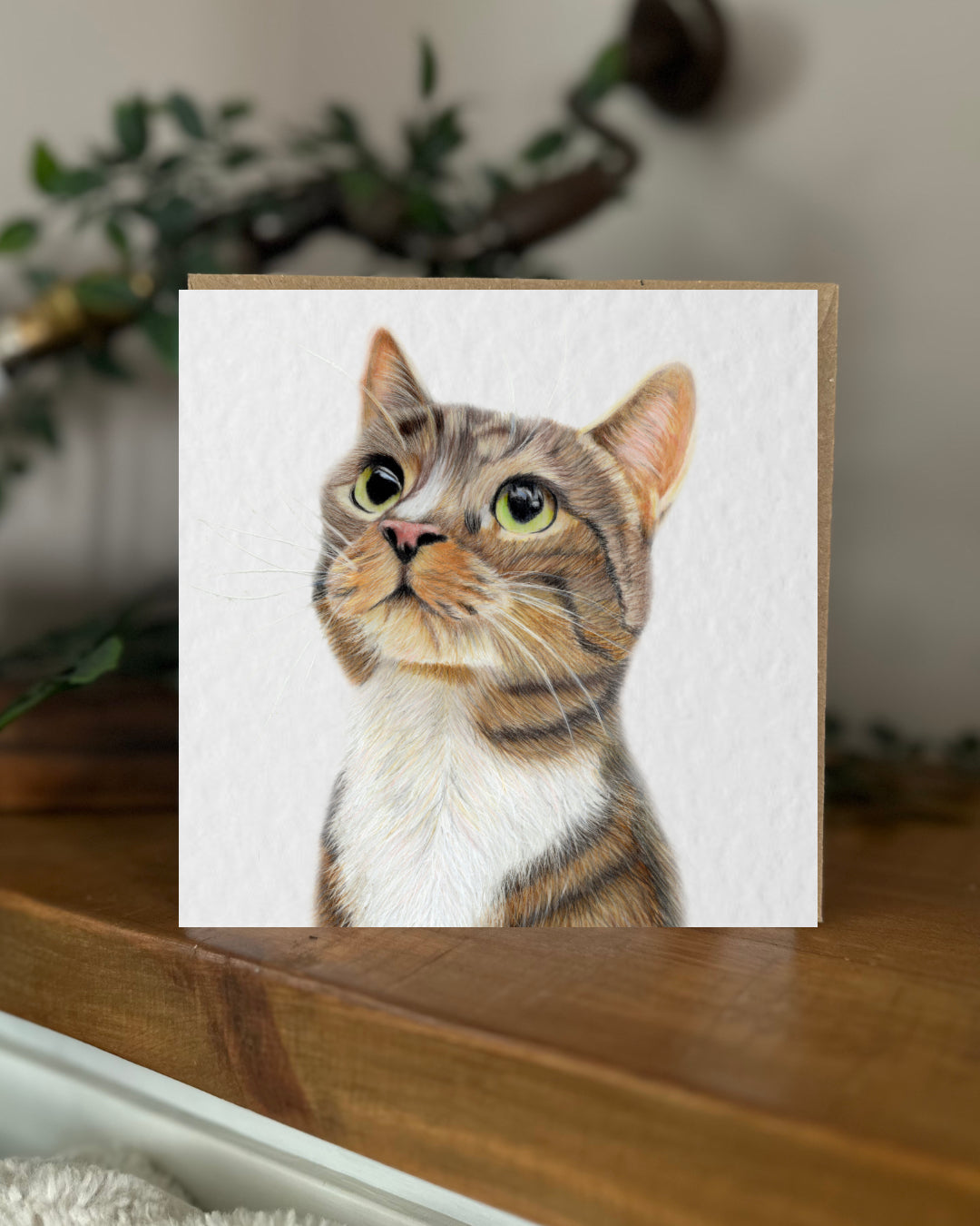 Cat Card & Tag Bundle