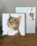 Cat Card & Tag Bundle