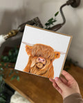 Highland Cow Greeting Card