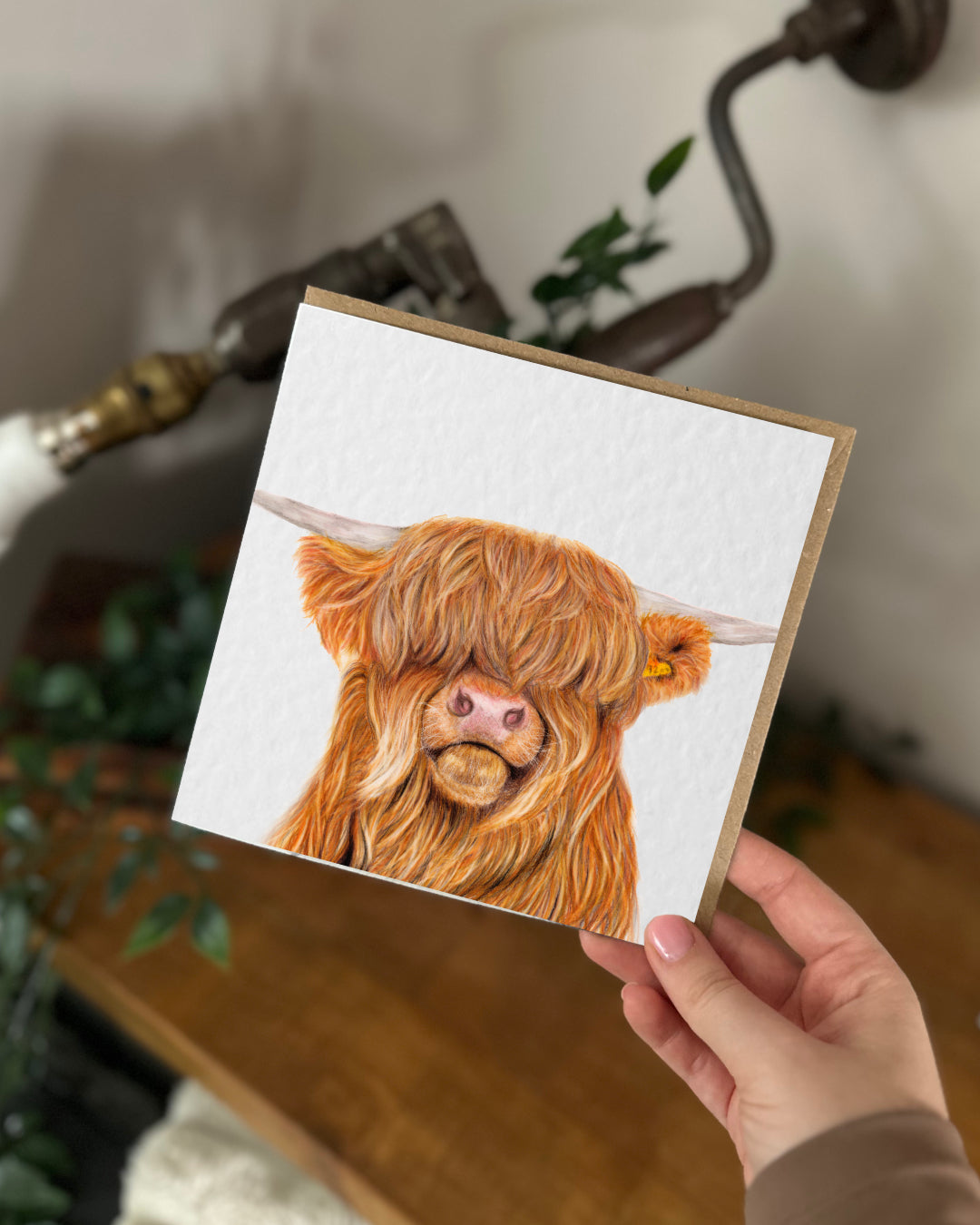 Highland Cow Greeting Card