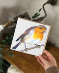 Robin Greeting Card