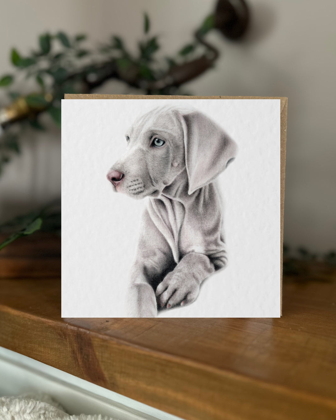 Weimaraner Card & Tag Bundle