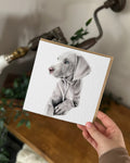 Weimaraner Greeting Card