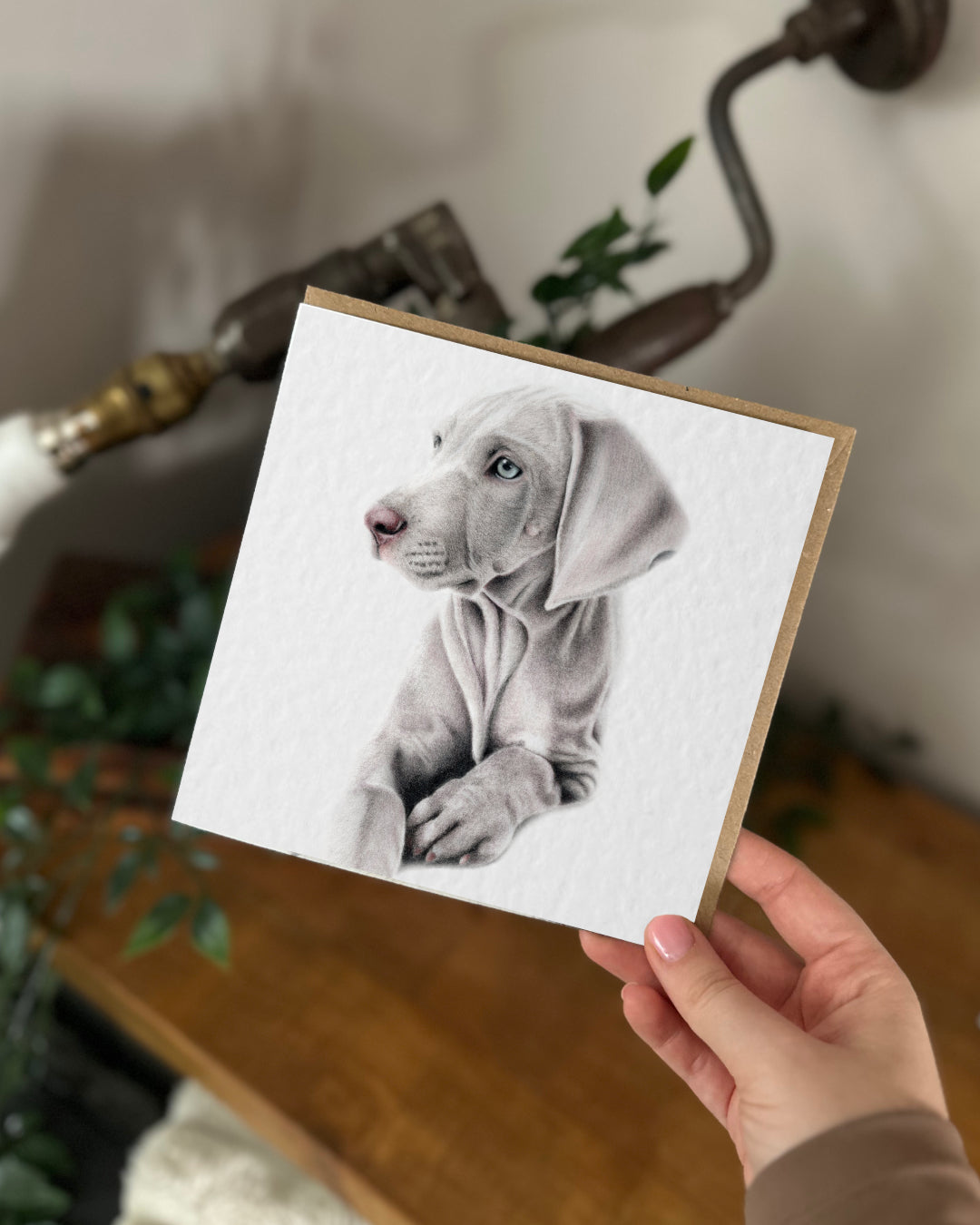 Weimaraner Card & Tag Bundle
