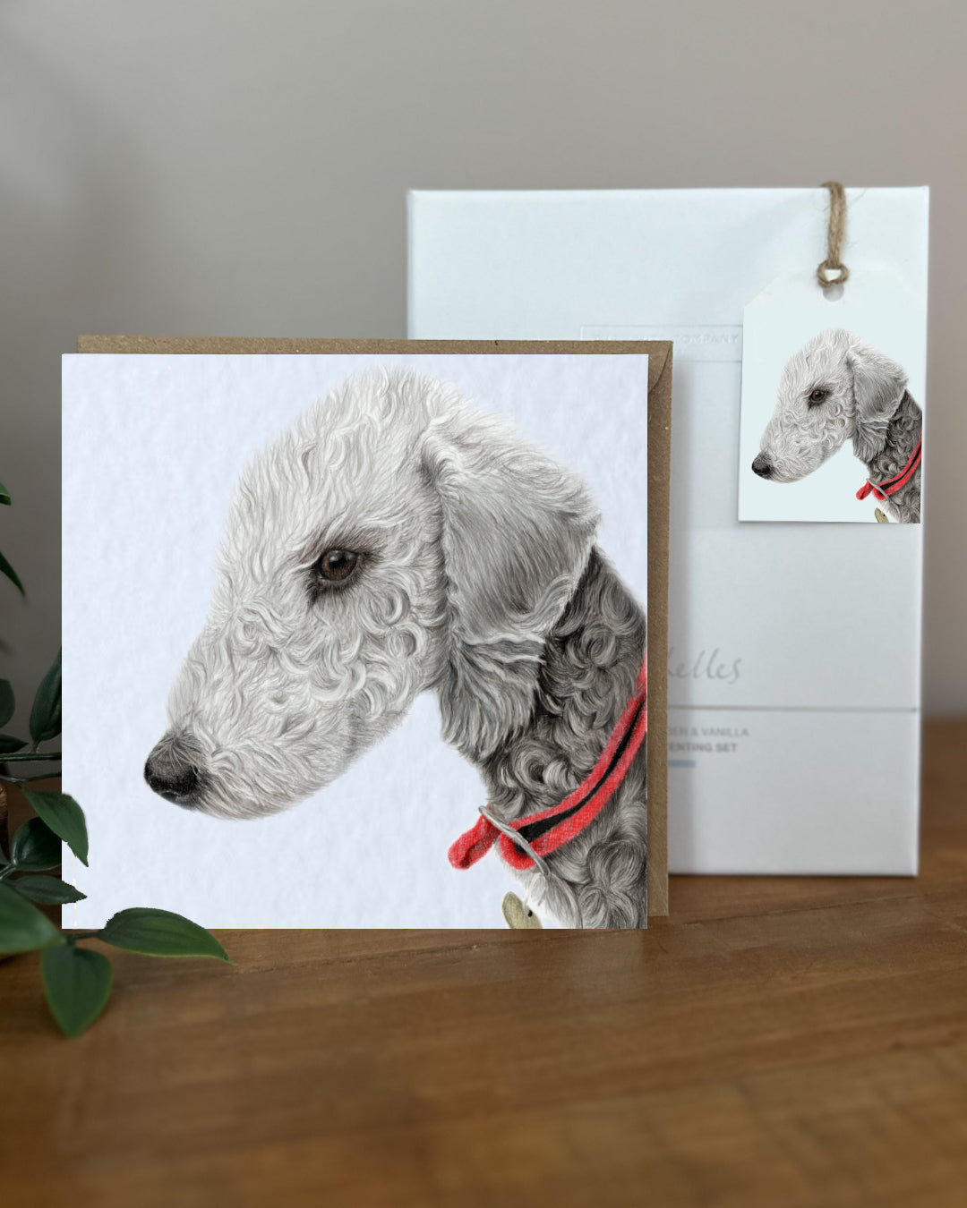 Bedlington Terrier Card & Tag Bundle