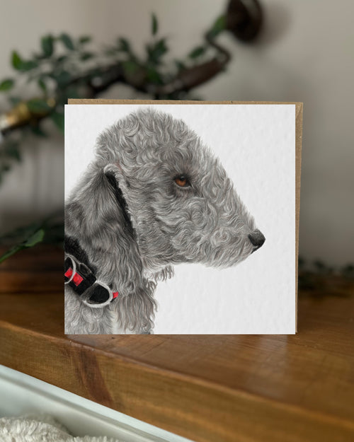 Bedlington Terrier (No.2) Greeting Card