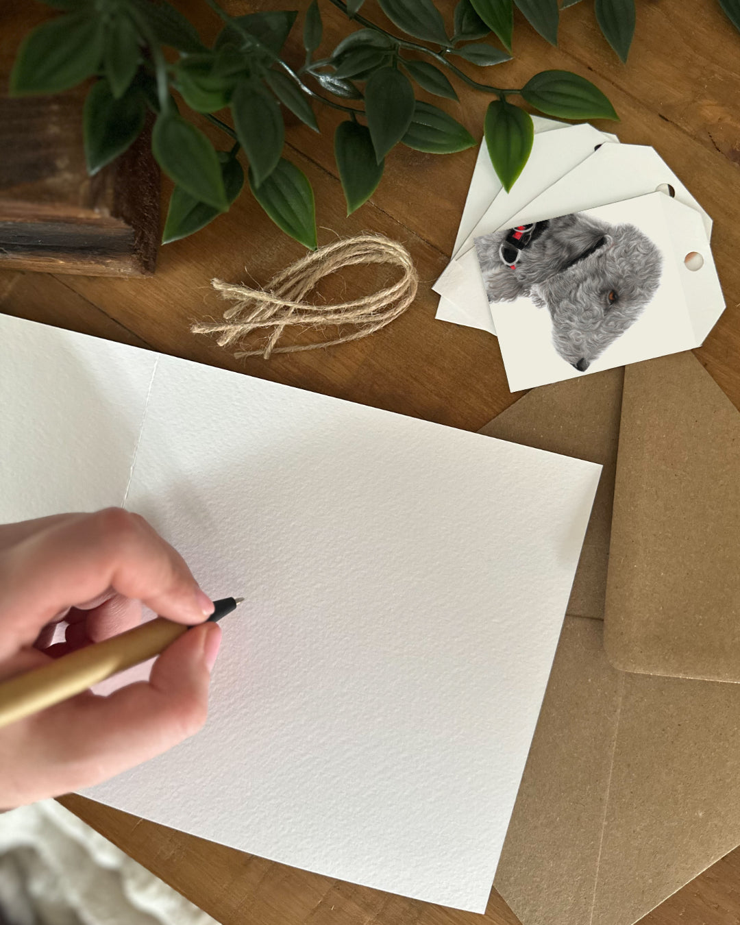 Bedlington Terrier (No. 2) Gift Tags