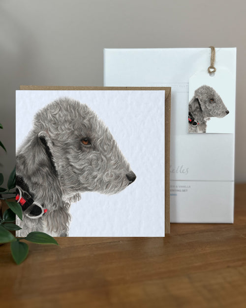 Bedlington Terrier (No. 2) Gift Tags