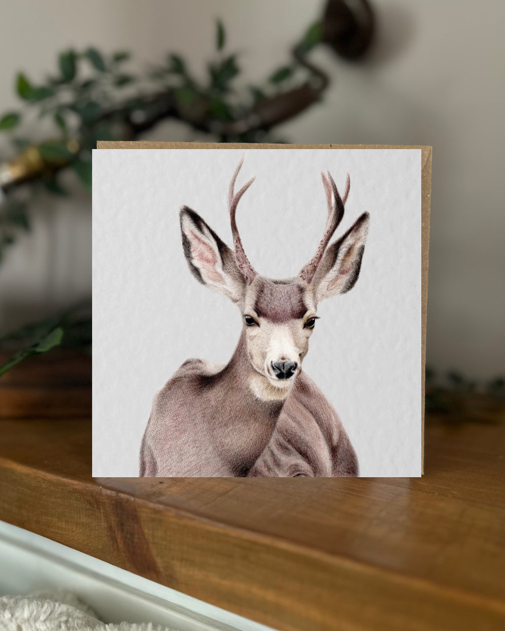 Mule Deer Greeting Card