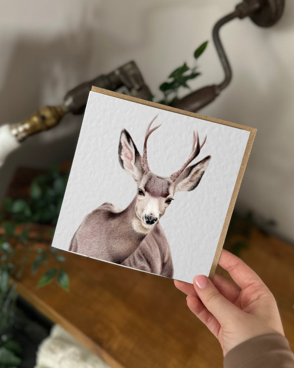 Mule Deer Greeting Card