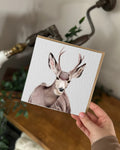 Mule Deer Greeting Card
