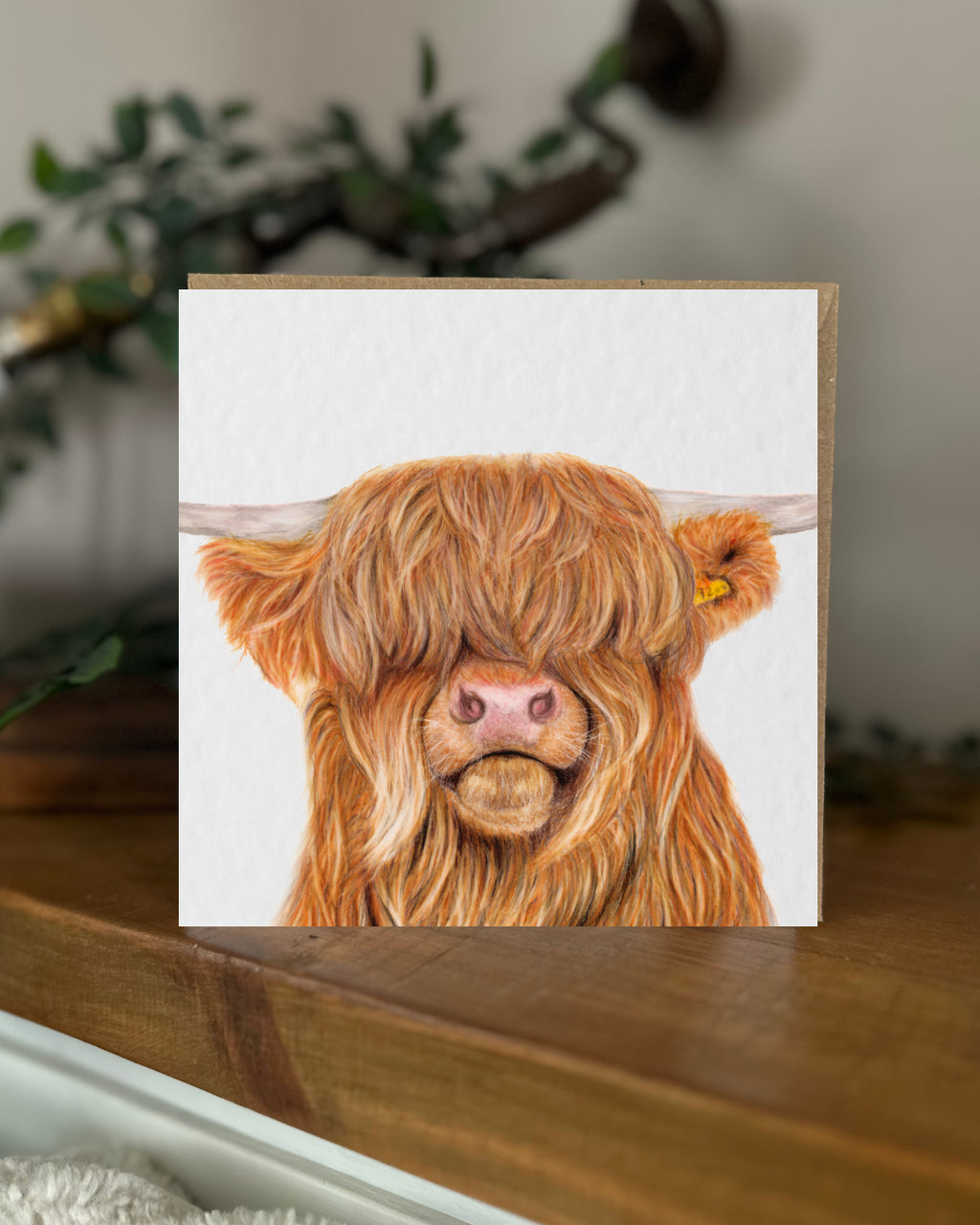 Highland Cow Greeting Card
