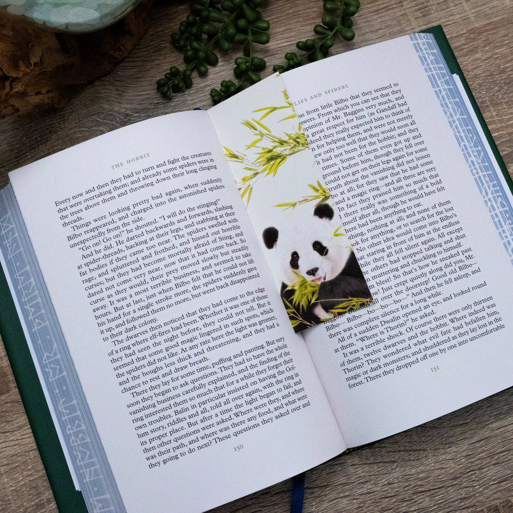 Open book with a panda bookmark on a wooden surface