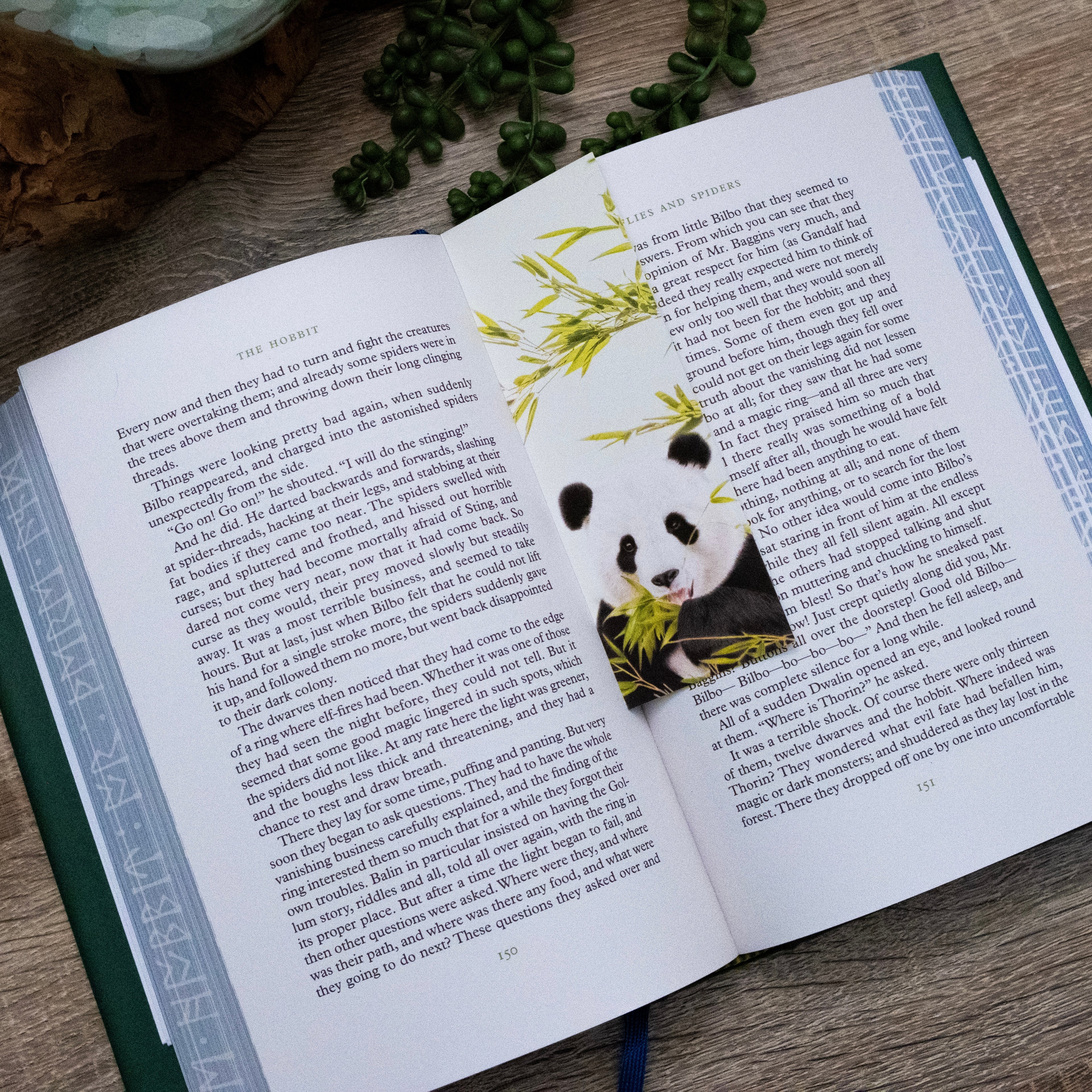 Open book with a panda bookmark on a wooden surface