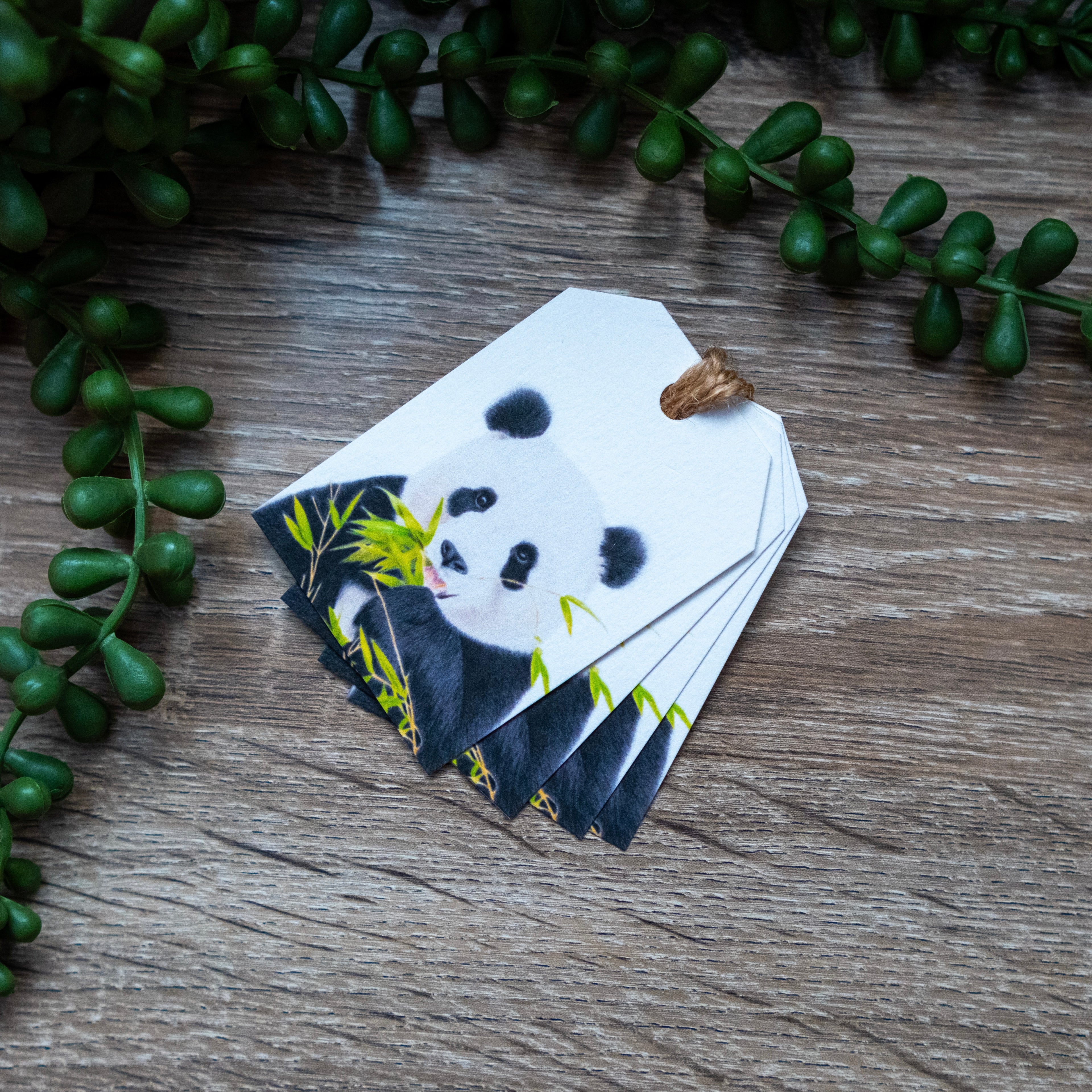 Panda 'Obsessed' Bundle