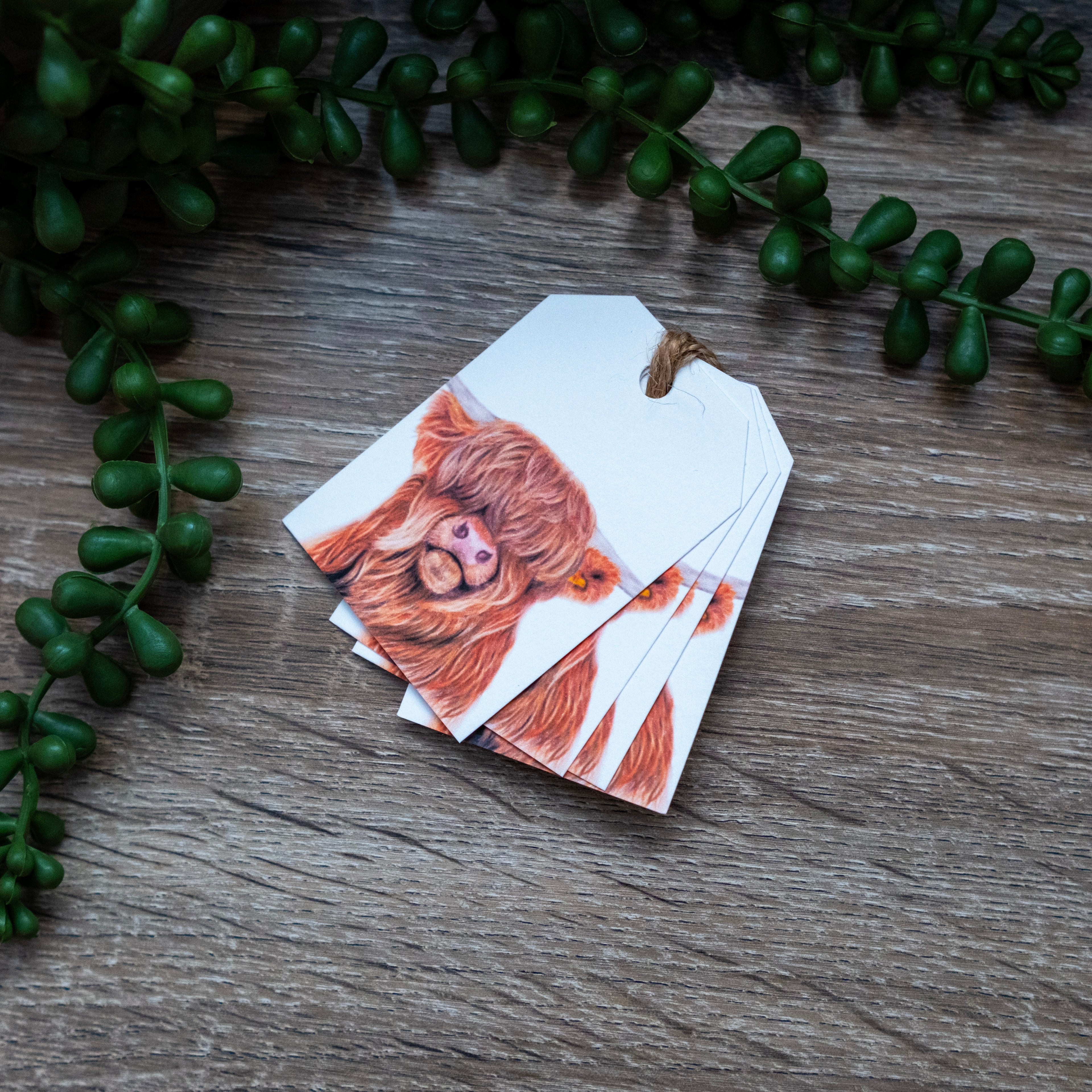 Highland Cow Gift Tag Set