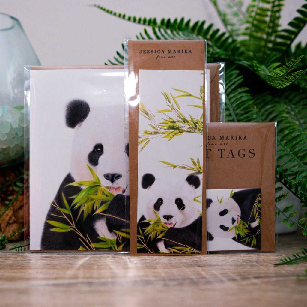 Panda 'Obsessed' Bundle
