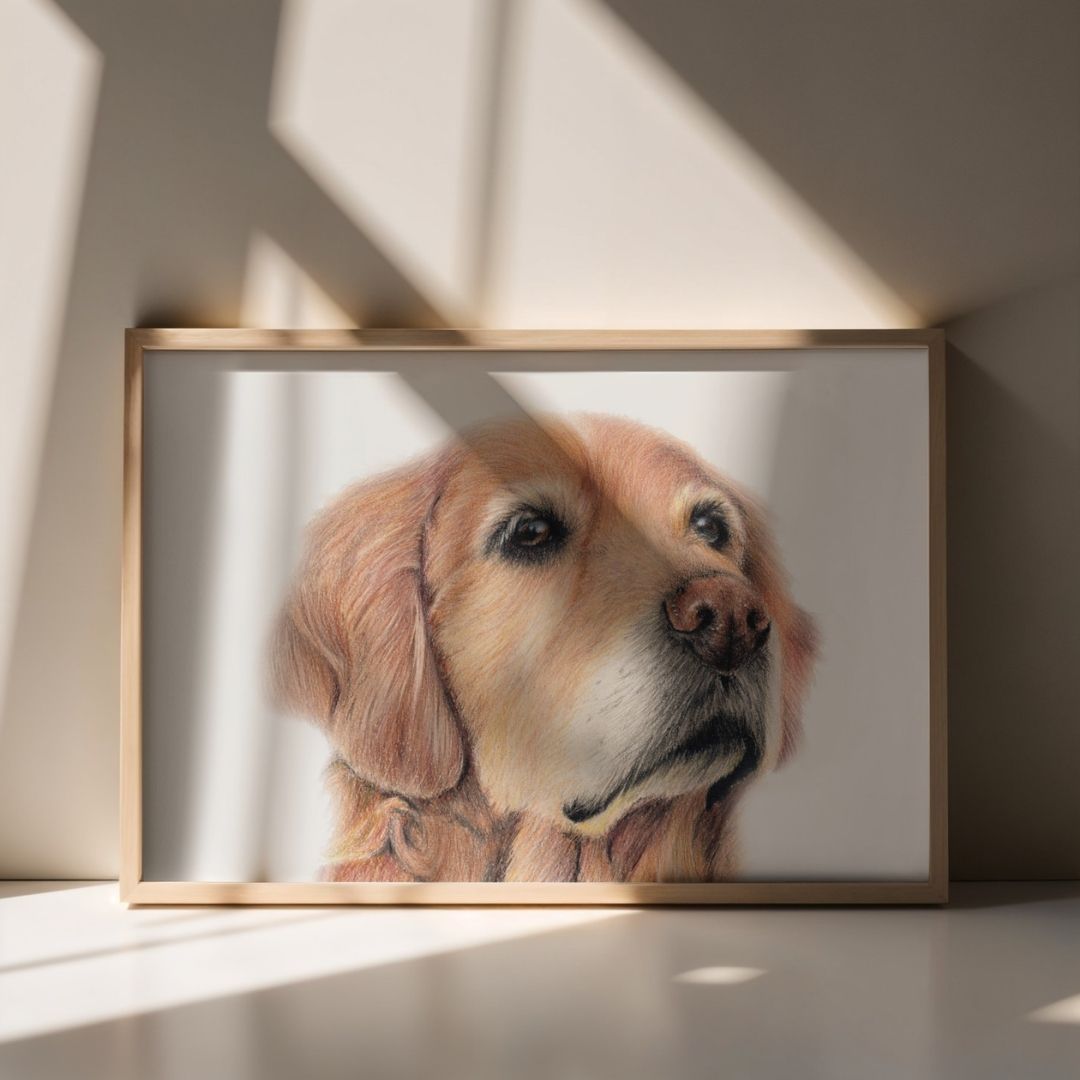 Golden Retriever Fine Art Print