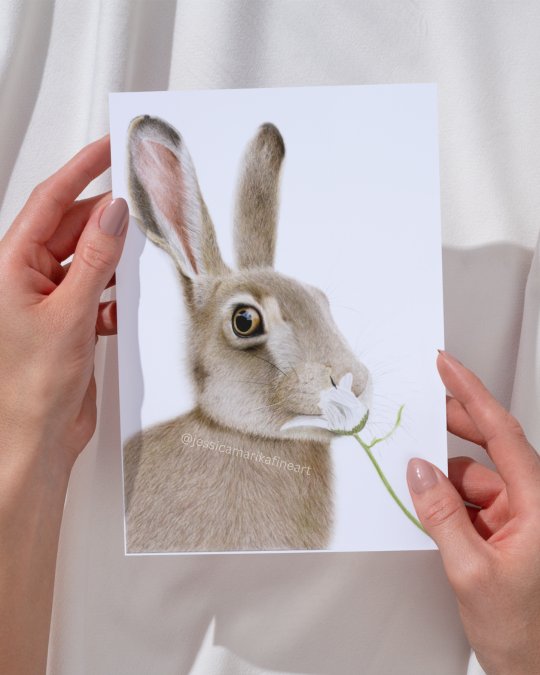 Hare Coloured Pencil Art Print: "A Moment in the Meadow" British Wildlife Wall Art (A5 A4)
