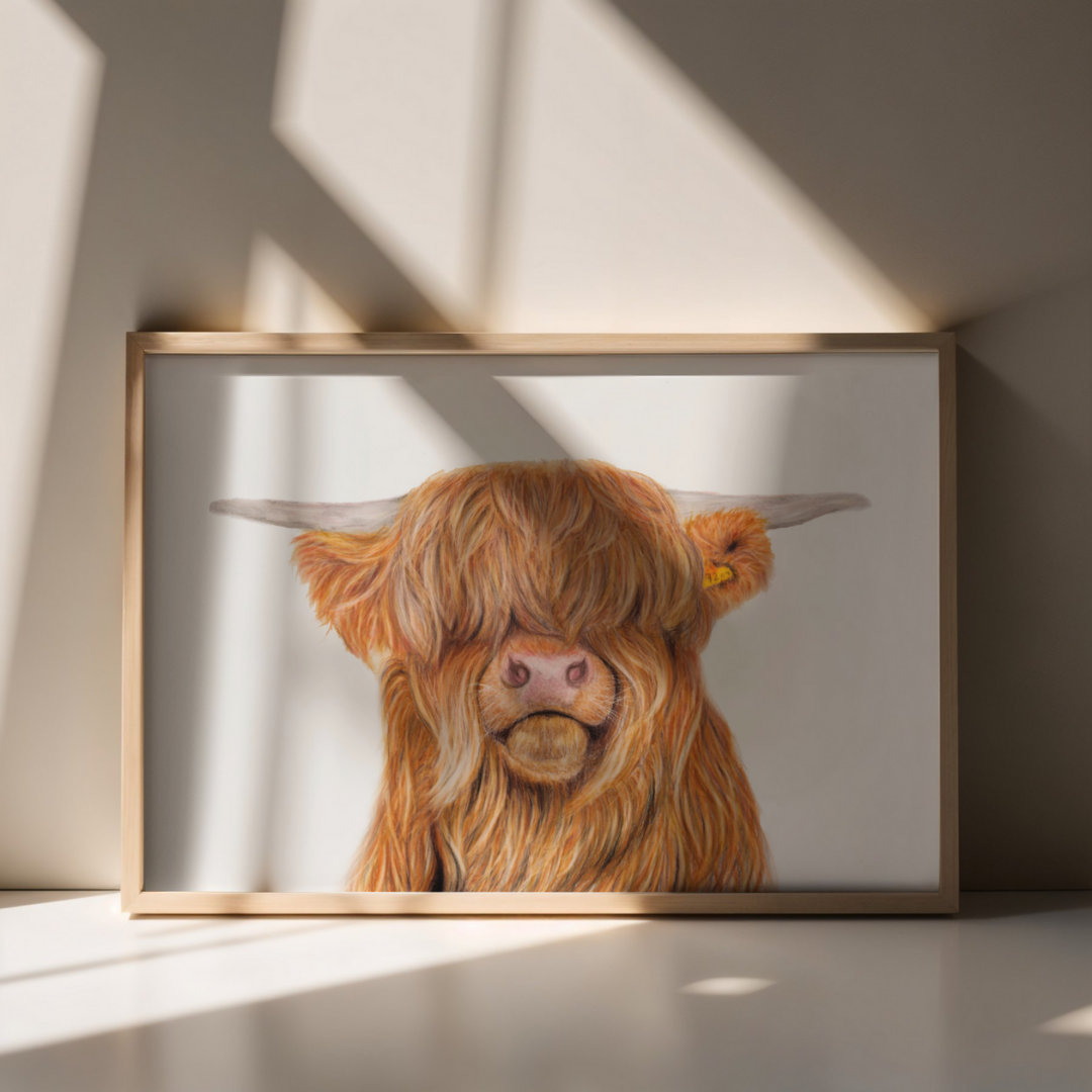 Highland Cow Fine Art Print