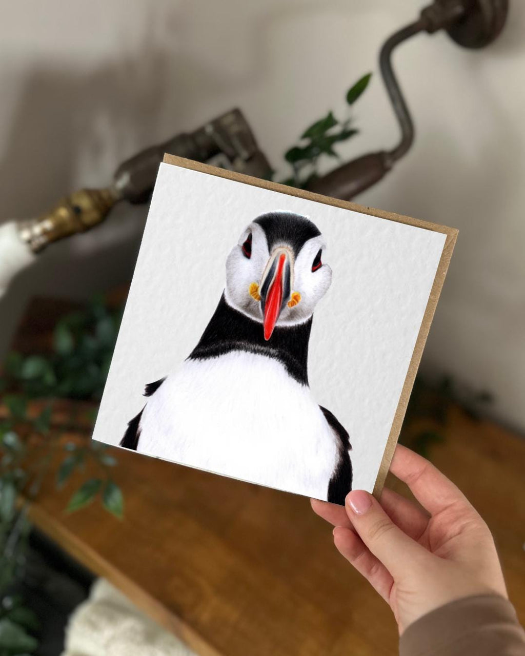 Hand Drawn Puffin Card, Textured Cardstock Greeting (148mm x 148mm), Blank Inside
