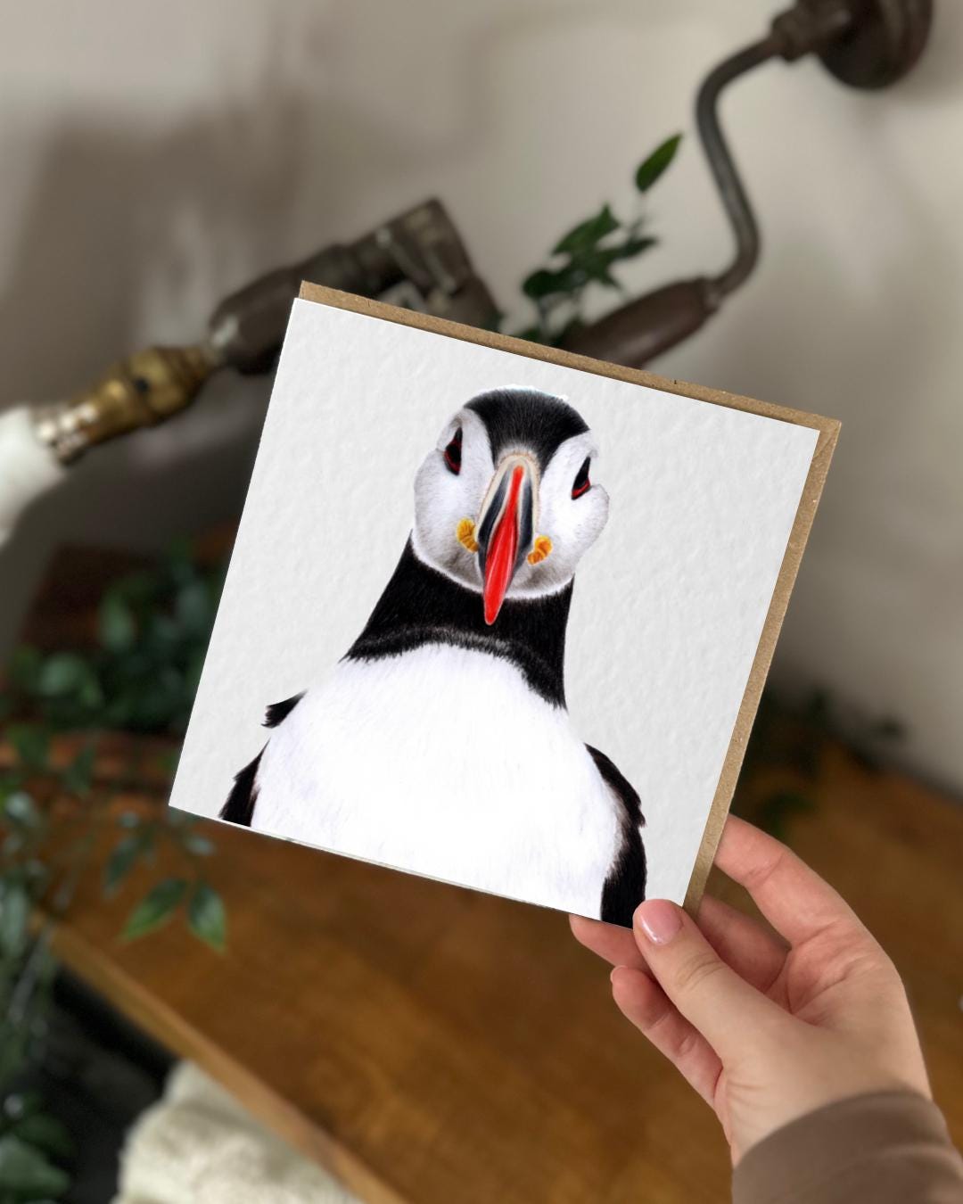 Hand Drawn Puffin Card, Textured Cardstock Greeting (148mm x 148mm), Blank Inside