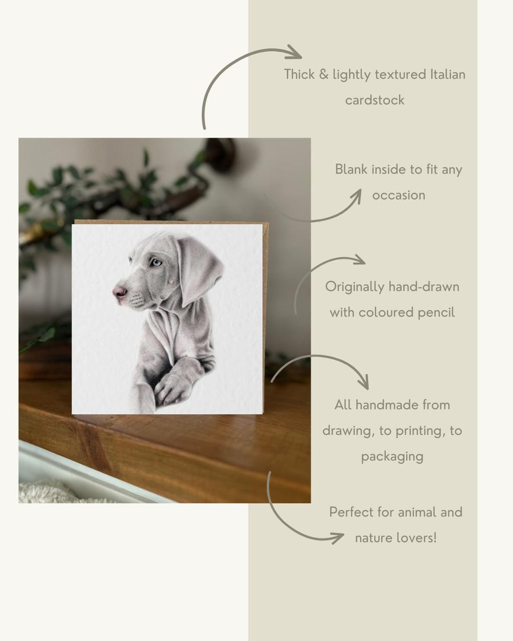 Hand Drawn Weimaraner Card, Textured Cardstock Greeting (148mm x 148mm), Blank Inside