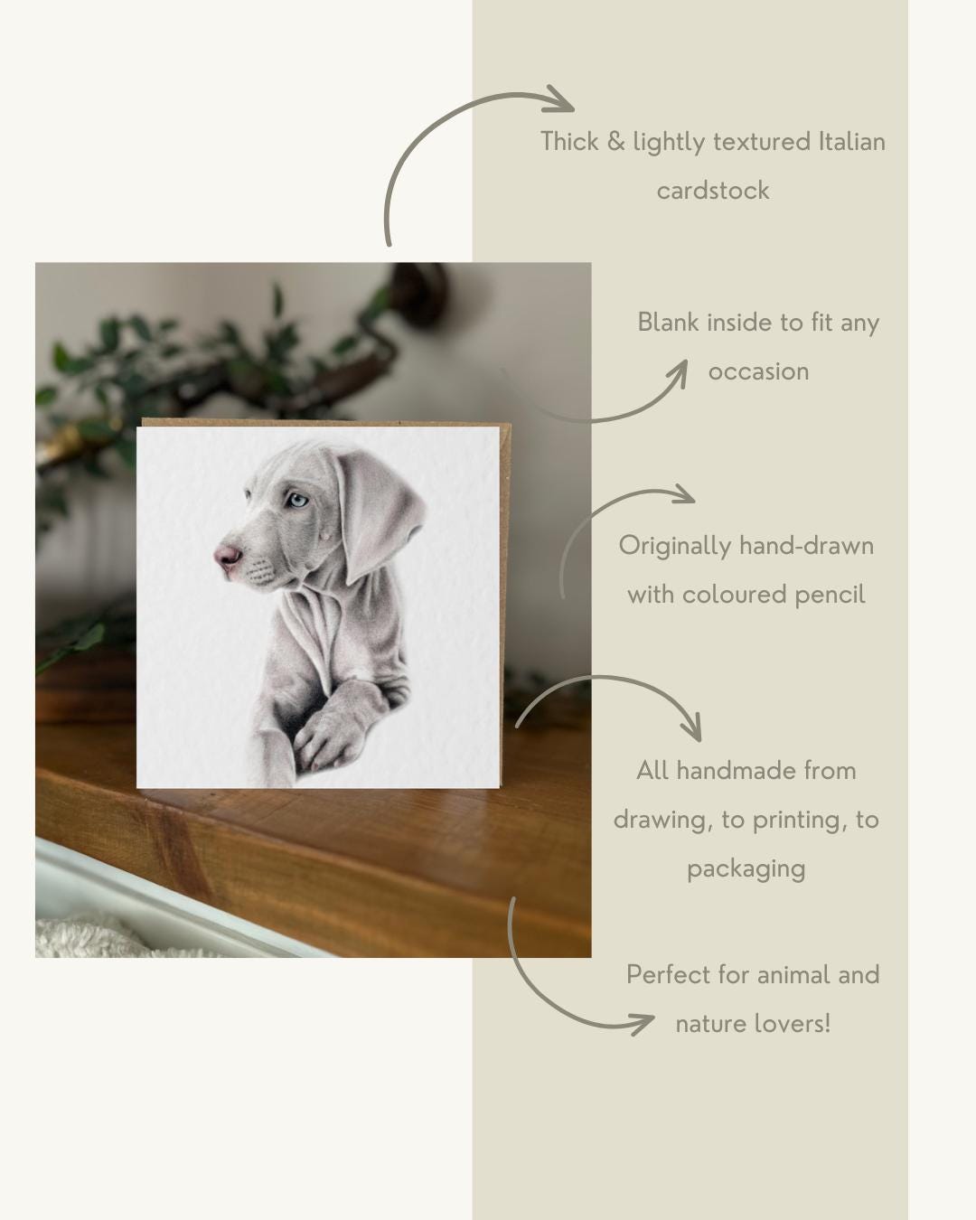 Hand Drawn Weimaraner Card, Textured Cardstock Greeting (148mm x 148mm), Blank Inside