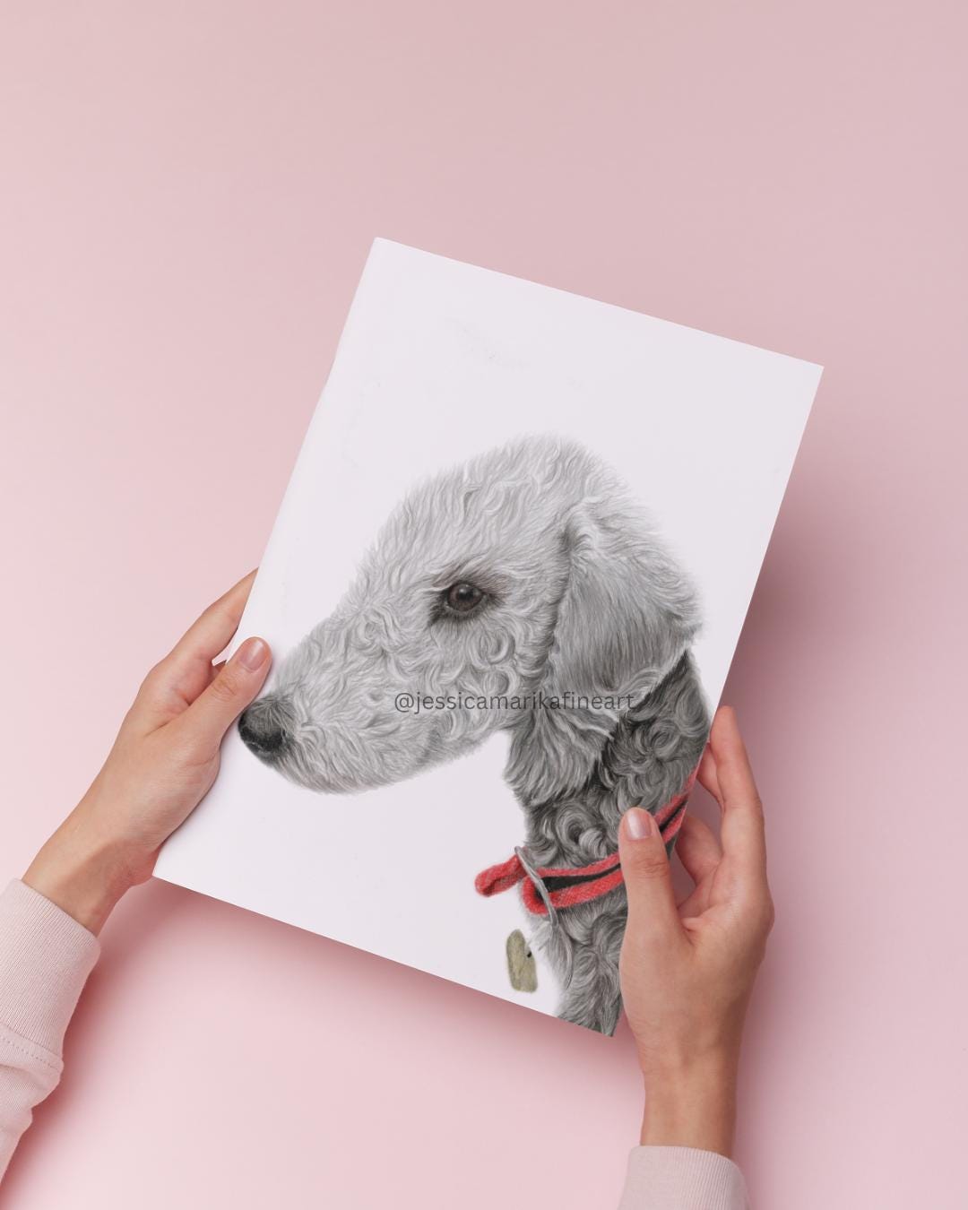 Bedlington Terrier Wall Art Print, Original Coloured Pencil Drawing, Signed Artist Mounted Print (A5, A4)