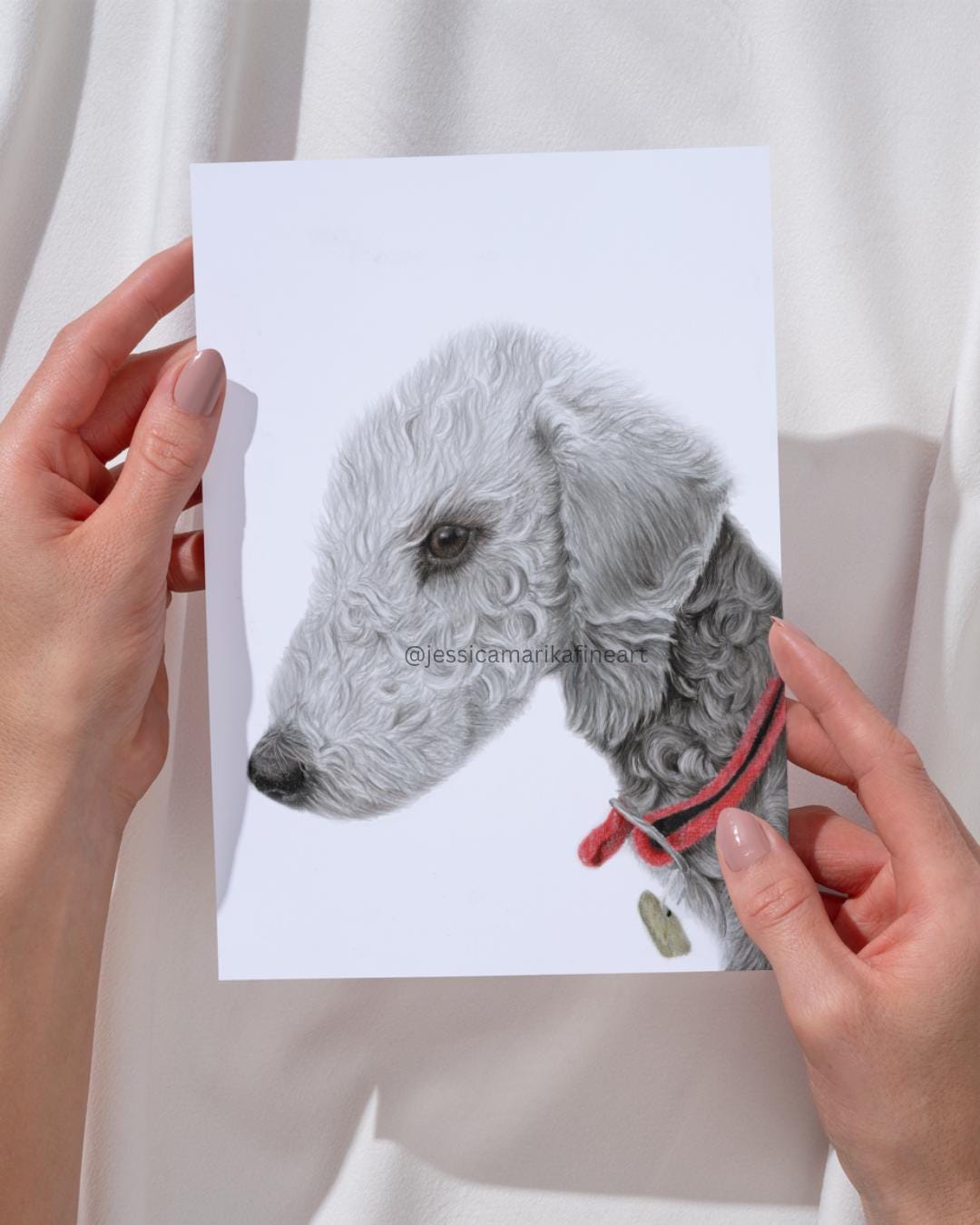 Bedlington Terrier Wall Art Print, Original Coloured Pencil Drawing, Signed Artist Mounted Print (A5, A4)