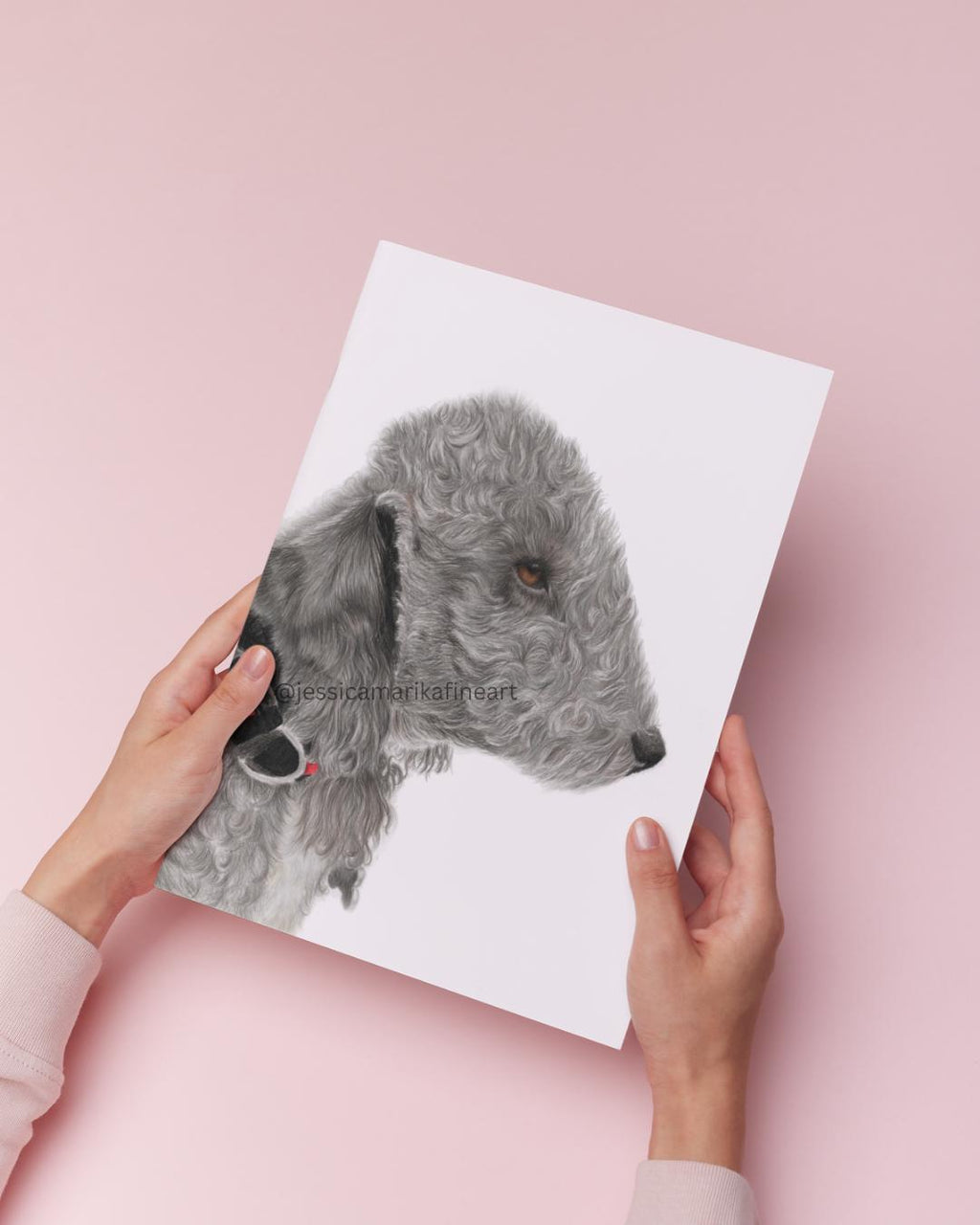 Bedlington Terrier Wall Art Print, Original Coloured Pencil Drawing, Signed Artist (A4, A5)