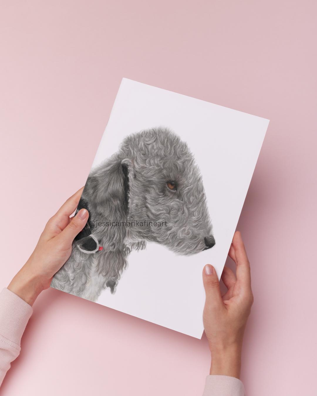 Bedlington Terrier Wall Art Print, Original Coloured Pencil Drawing, Signed Artist (A4, A5)