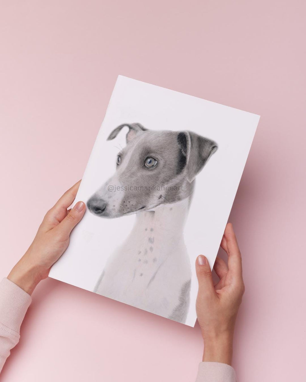 Greyhound Wall Art Print, Original Coloured Pencil Drawing, Signed Artist (A4, A5)