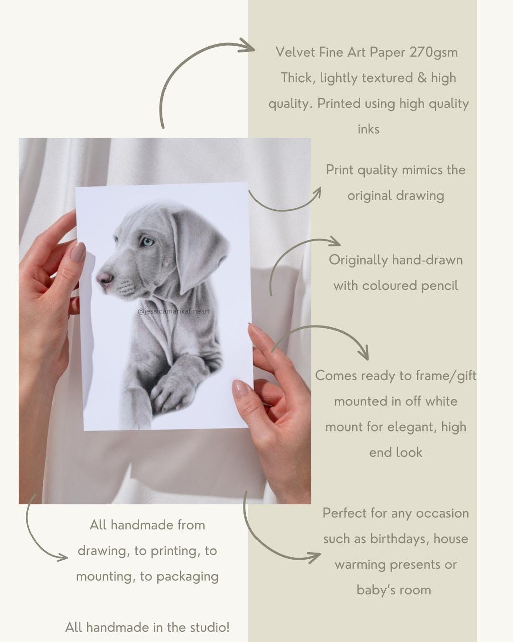 Weimaraner Dog Portrait Print: Mounted Coloured Pencil Drawing, A5/A4 Wall Art