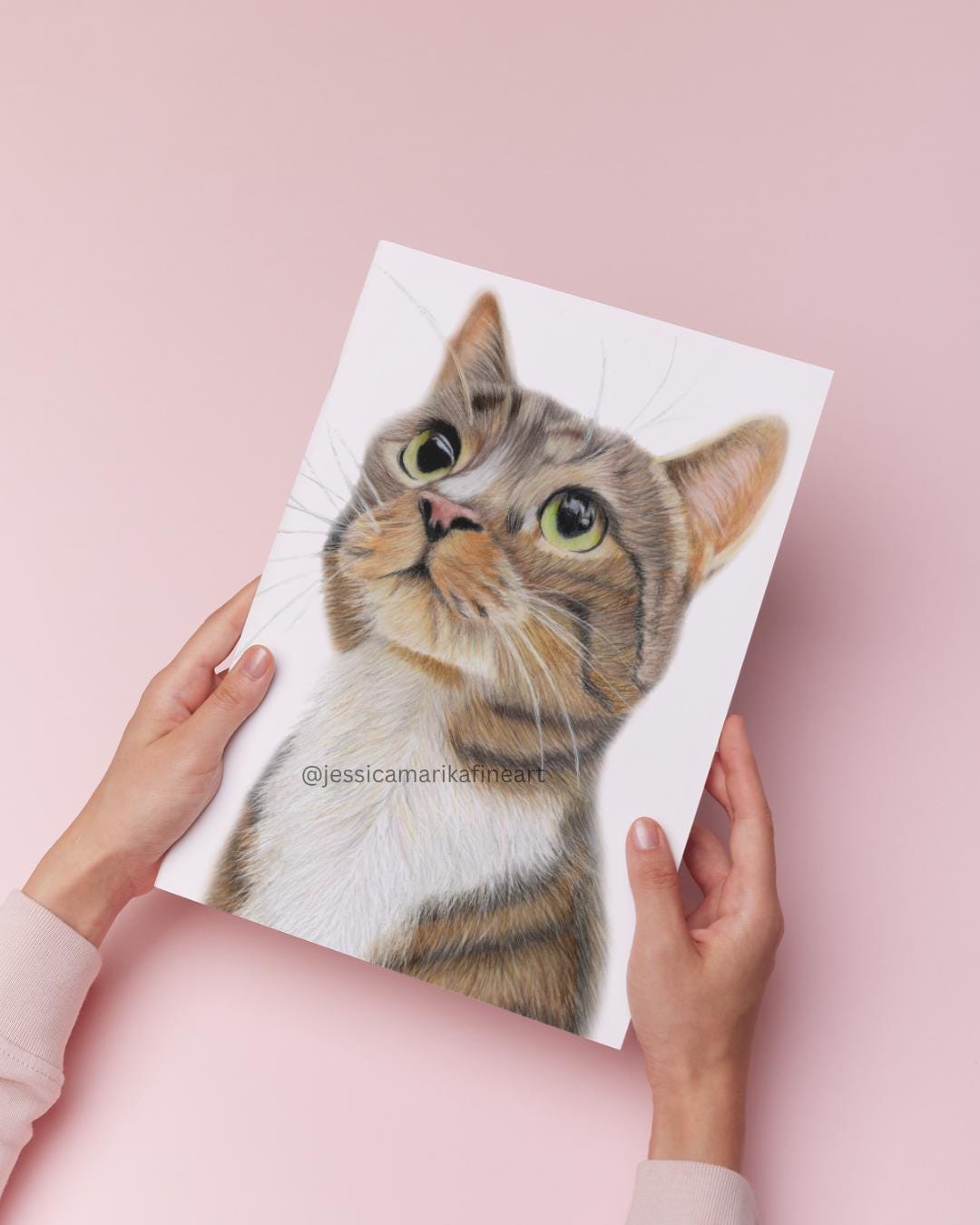 Tabby Cat Coloured Pencil Portrait Mounted Print: Cosy Animal Wall Art (A5, A4)