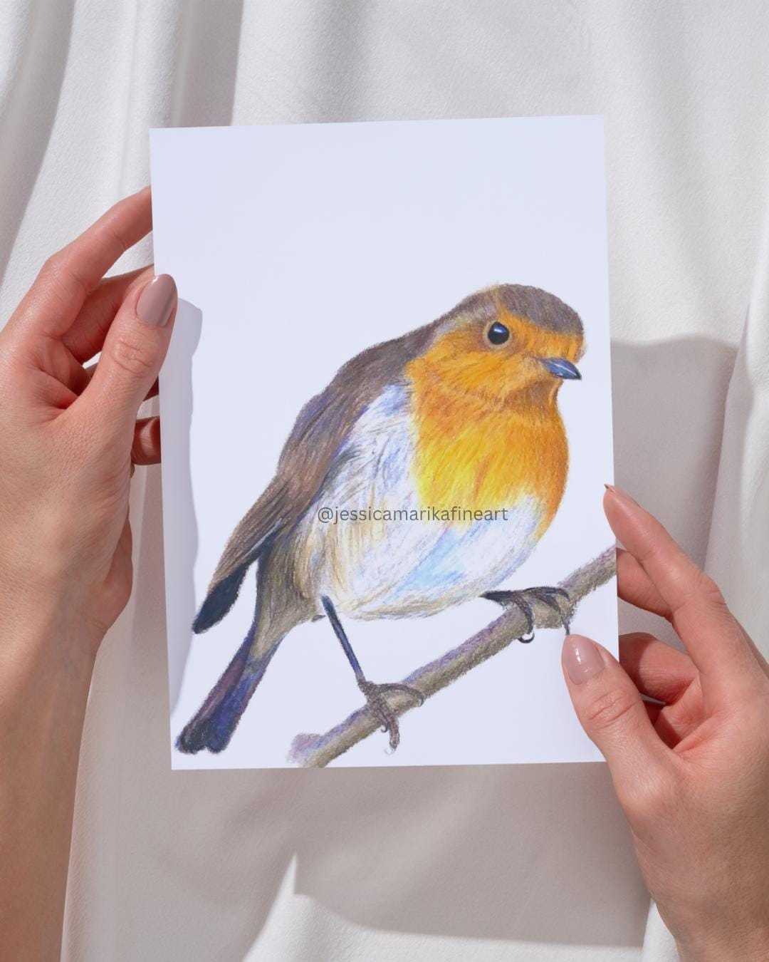 Robin Fine Art Print: "Friendly Little Visitor" Coloured Pencil Drawing Wall Art (A5 A4)