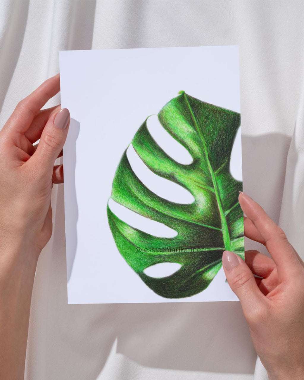 Monstera Fine Art Print: "Say Cheese!" Coloured Pencil Drawing Wall Art (A5 A4)