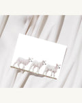 Sheep Lamb Fine Art Print: "Little Lambs" Coloured Pencil Drawing Wall Art (A5 A4)