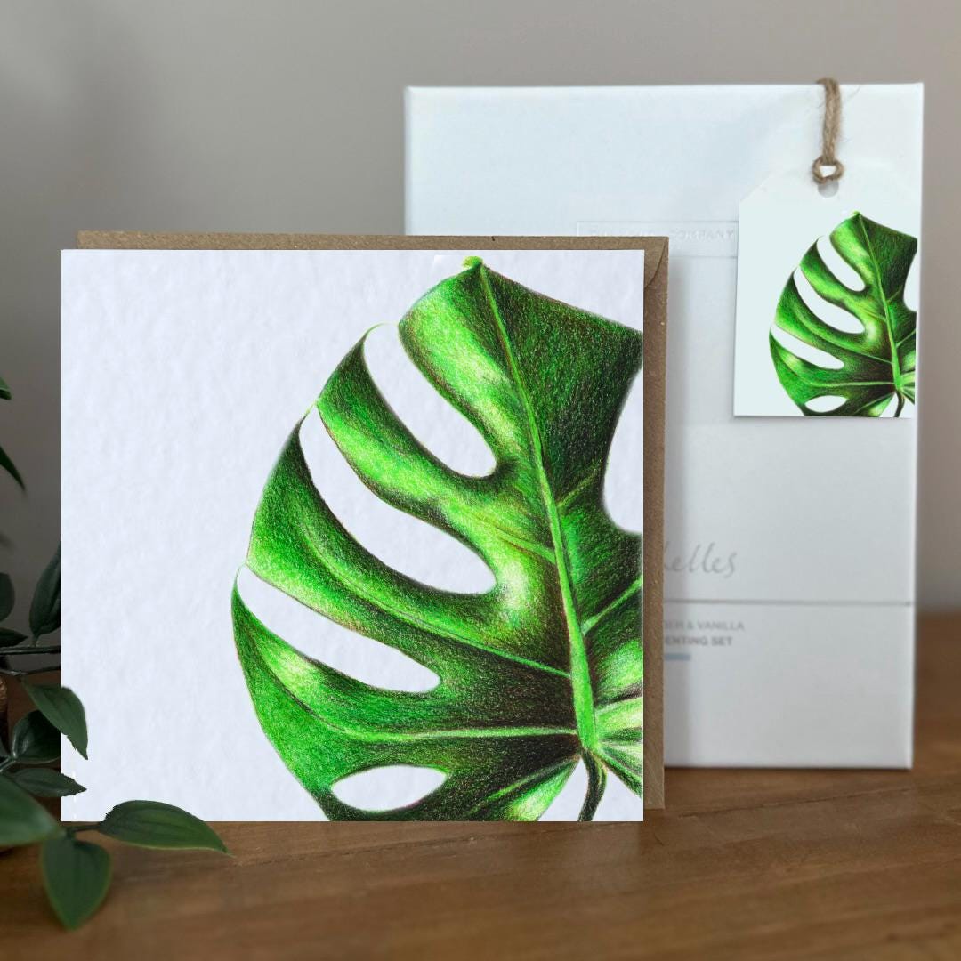 Hand Drawn Monstera Coloured Pencil Card, Textured Cardstock Greeting (148mm x 148mm), Blank Inside