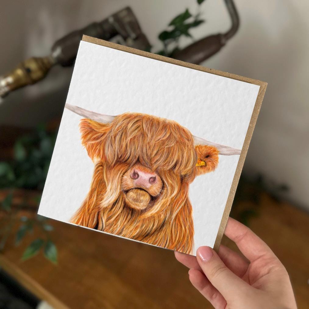 Hand Drawn Highland Cow Greeting Card, Textured Italian Cardstock (148mm x 148mm), Blank Inside