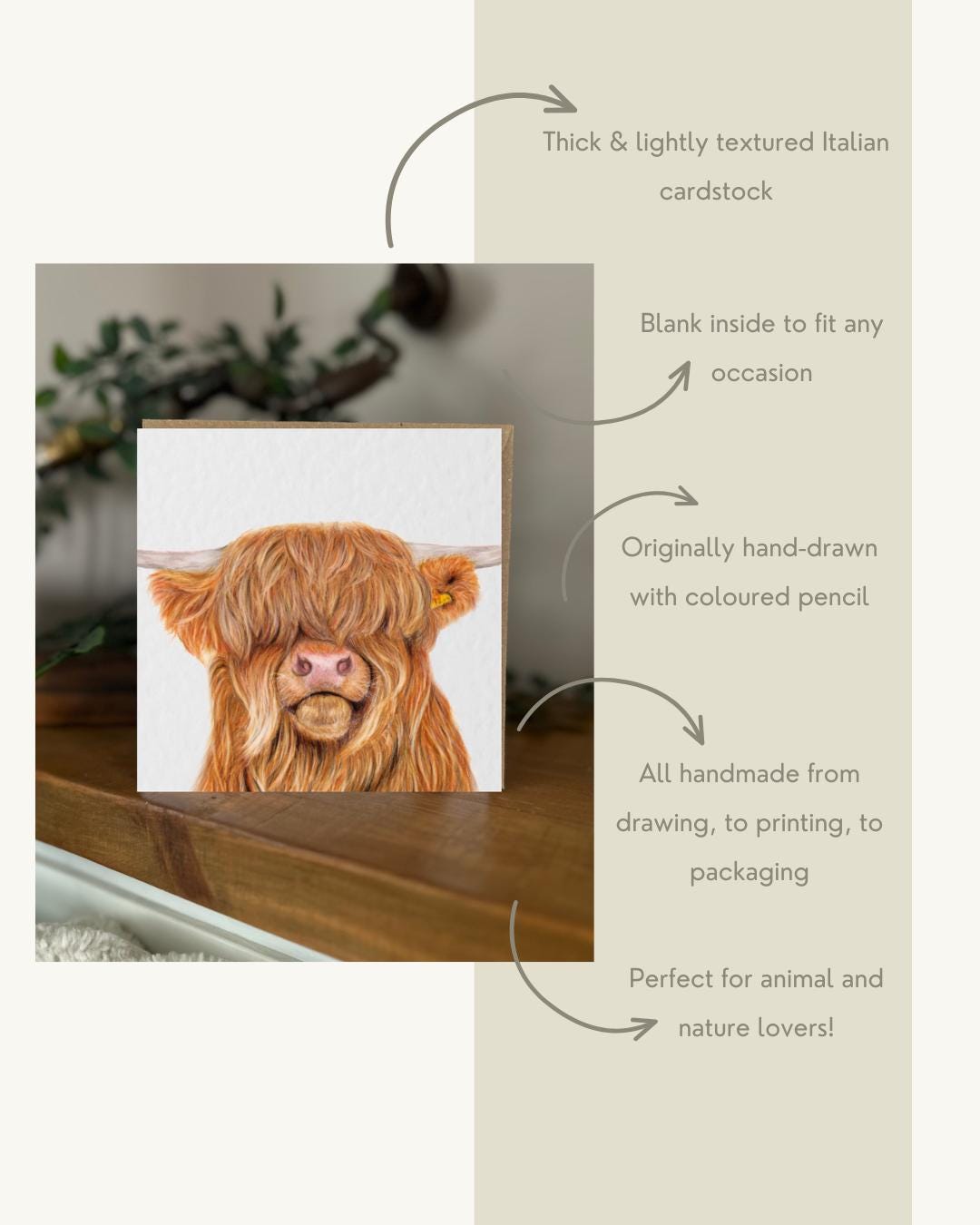 Hand Drawn Highland Cow Greeting Card, Textured Italian Cardstock (148mm x 148mm), Blank Inside