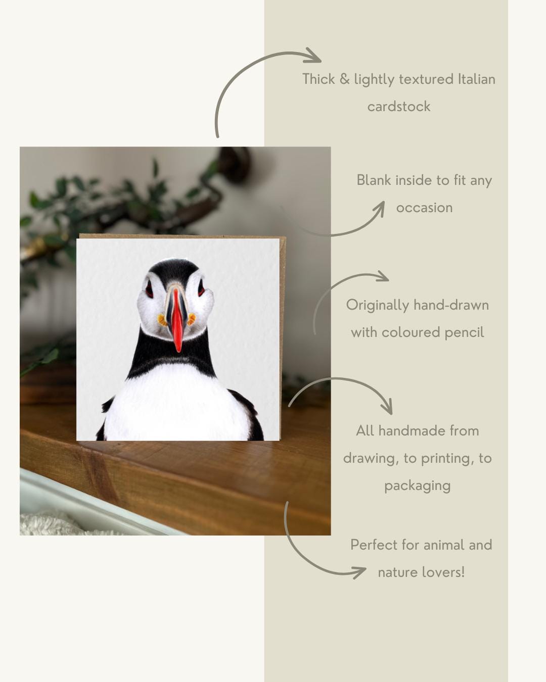 Hand Drawn Puffin Card, Textured Cardstock Greeting (148mm x 148mm), Blank Inside