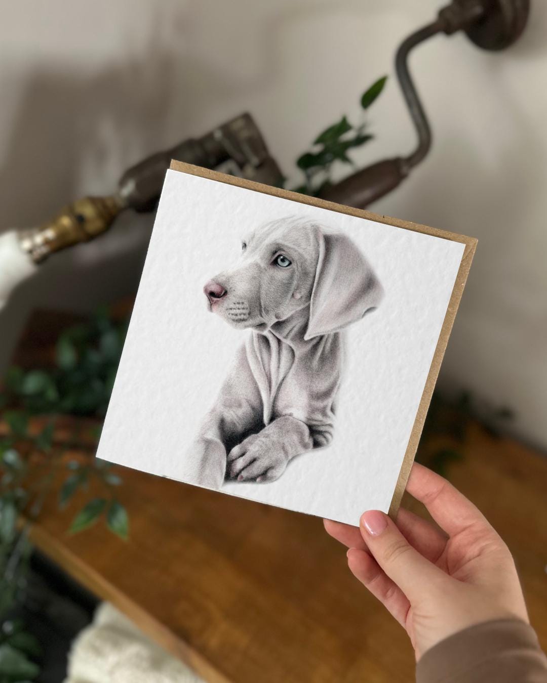 Hand Drawn Weimaraner Card, Textured Cardstock Greeting (148mm x 148mm), Blank Inside